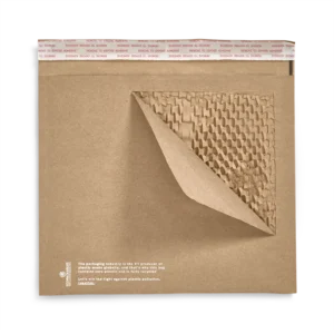 Paper Padded Mailer